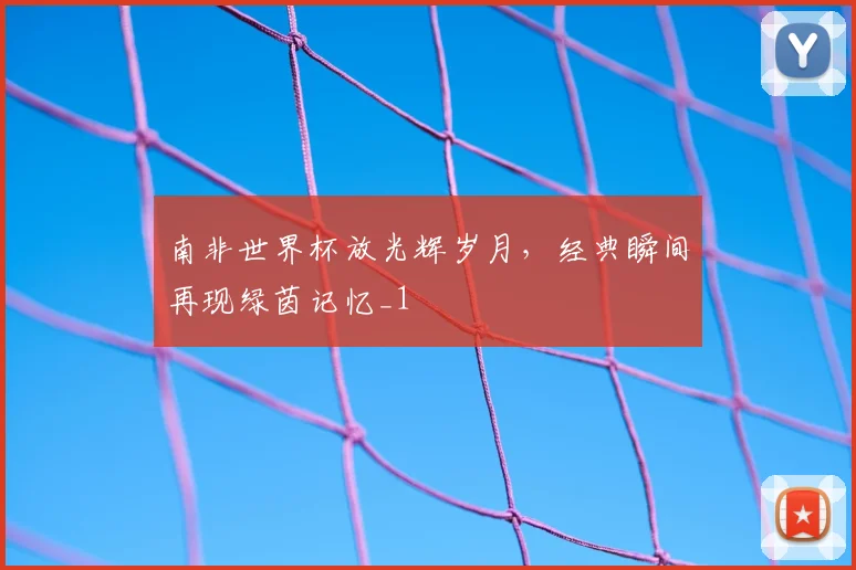 南非世界杯放光辉岁月,经典瞬间再现绿茵记忆_1